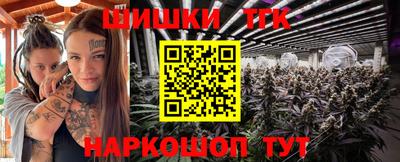 винт Дмитров