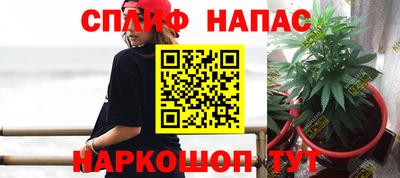 винт Дмитров